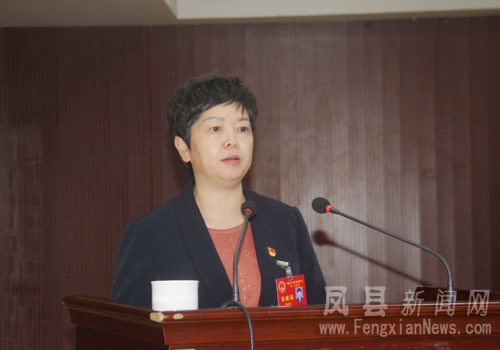 凤县第十八届人民代表大会第一次会议举行第..